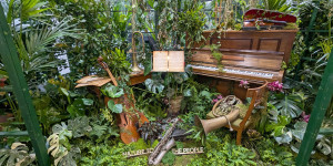 Grün geht unter die Haut