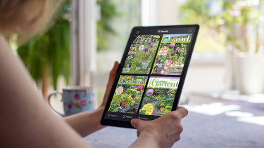 Eine Mehrheit entspannt sich im Garten