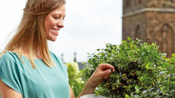 Die neue Lust aufs Gärtnern hält an Die neue Lust aufs Gärtnern hält an