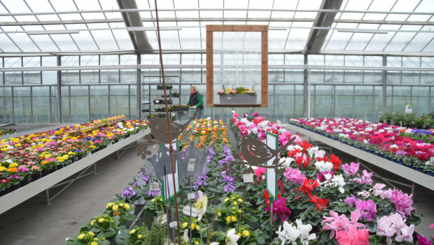 Können Märkte in dem südwestlichen Bundesland bald wieder vor Ort ihre Waren anbieten? &nbsp;