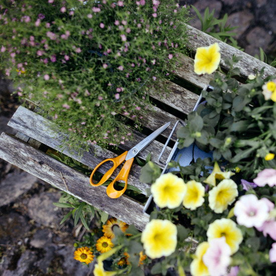 Die FF Renew Universalschere besteht zu mehr als 60 Prozent aus recycelten Materialien.