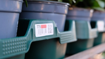 Emsflower schließt sich Euro Plant Tray an Emsflower schließt sich Euro Plant Tray an