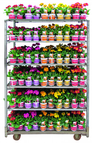 CC-Container Volmary