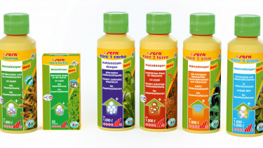 Professionelle Pflanzenpflege