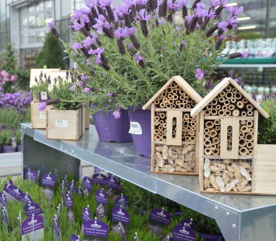 Dehner kümmert sich verstärkt um das Thema Insektenhotel.