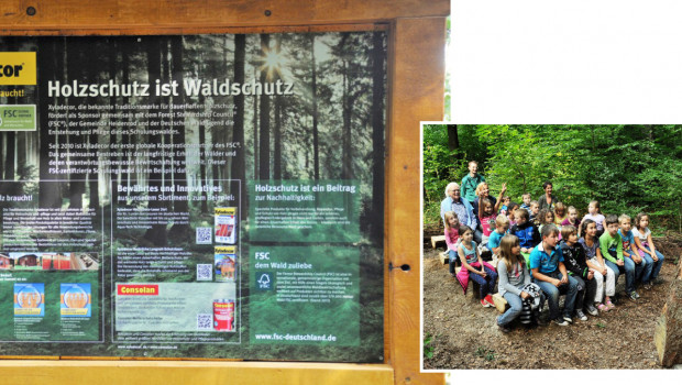 Xyladecor Holzschutz ist Waldschutz