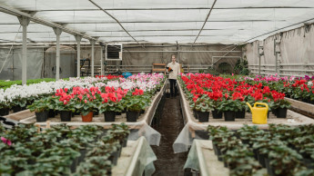 Flächen schrumpfen weiter