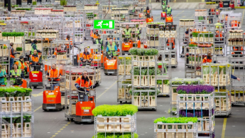 Preissteigerungen bescheren Royal Flora Holland ein Plus von 21 Prozent