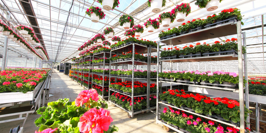 Dehner, Gärtnersiedlung Rain, Beet und Balkon