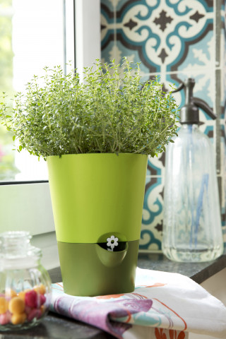 Kräutertopf Fresh Herbs von Emsa