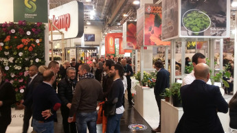 Handel gut vertreten