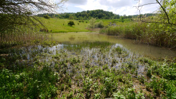 Knauf übergibt ehemaligen Steinbruch an den LBV Knauf übergibt ehemaligen Steinbruch an den LBV