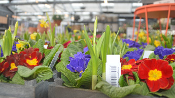 Biodiversität? Check! Biodiversität? Check!