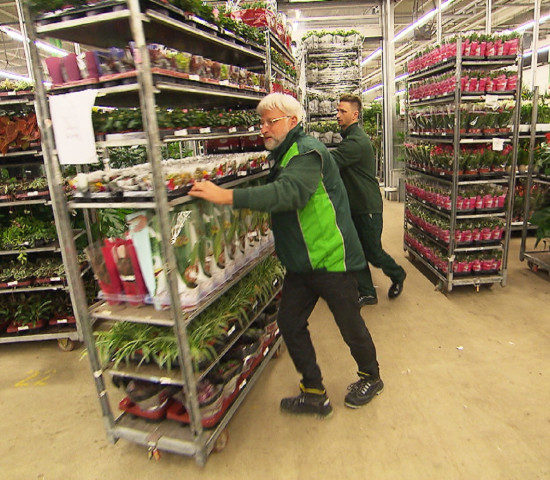 Mitarbeiter in der Baumschule, als Lagerist, Kassierer und Verkäufer: Dirk Bader musste verschiedene Tätigkeiten übernehmen - auch körperlich anstrengende.