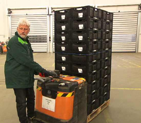 Mitarbeiter in der Baumschule, als Lagerist, Kassierer und Verkäufer: Dirk Bader musste verschiedene Tätigkeiten übernehmen - auch körperlich anstrengende.