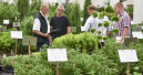 Landgard Pflanzen-Ordertage auch künftig auf der Spoga+Gafa