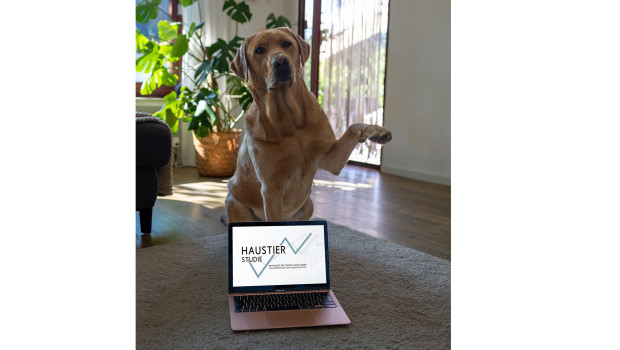 Von der Haustier-Studie 2024/2025 erhoffen sich die Initiatoren neue Erkenntnisse rund um die Heimtierhaltung. Von der Haustier-Studie 2024/2025 erhoffen sich die Initiatoren neue Erkenntnisse rund um die Heimtierhaltung.