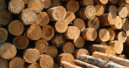 Positive Entwicklung durch Export