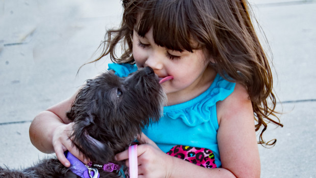 Die Heimtiermärkte liegen im Ranking weiter vorn.&nbsp;