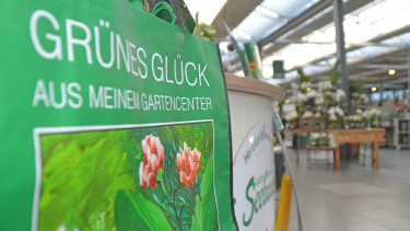 Wurzeln und Flügel