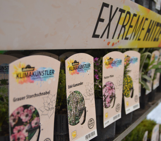 Ein neues Pflanzensortiment, das auf Hitze und Trockenheit ausgelegt ist.