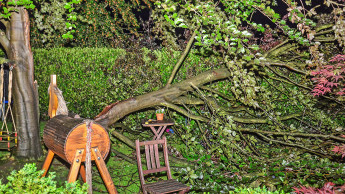 Der Garten im (Klima-)Wandel