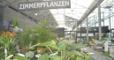 Blumen und Zierpflanzen erstmals über 10 Milliarden Euro