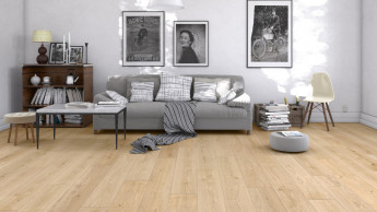 MMFA-Kategorie wächst