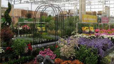 Mehr als die Hälfte der Top-500-Gartencenter sind Baumärkte