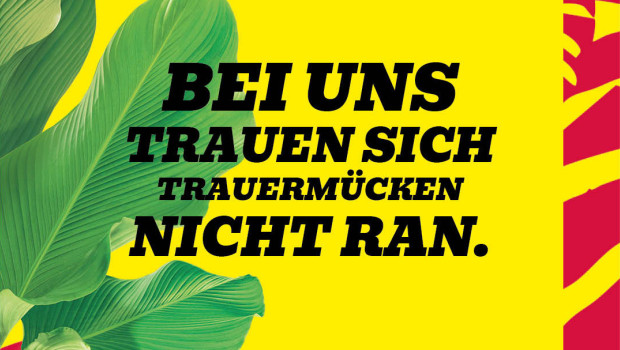 Seramis will mit knackigen Werbesprüchen vor allem die jüngeren Generationen für sich gewinnen.