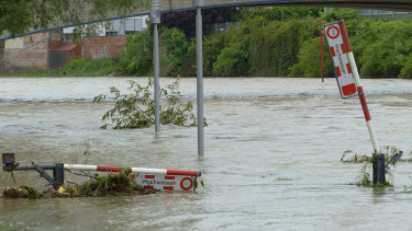 VDG ruft seine Mitglieder zur Hilfe für Gartencenter-Mitarbeiter auf