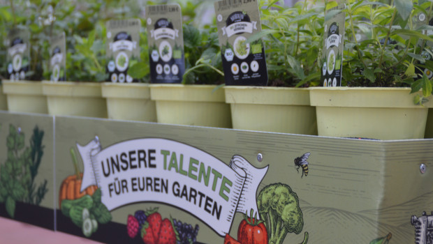 Toom arbeitet schon seit Längerem daran, sich auch durch naturnahes Gärtnern zu profilieren.