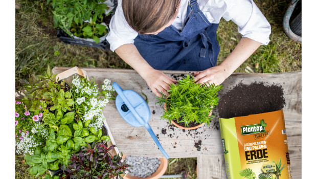 Ziegler, Plantop torffrei
