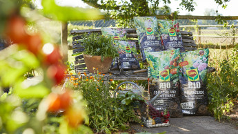 Ganzheitlich und mit voller Überzeugung