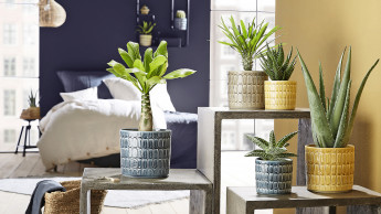 Gemeinsam innovativer