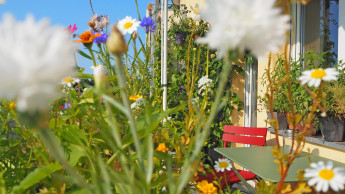 Ein beliebtes Hobby Ein beliebtes Hobby