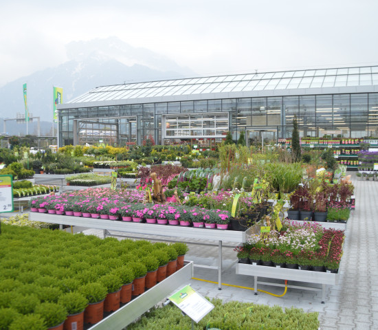 Außergewöhnlich groß ist die Freilandfläche.