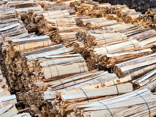 Naturland-zertifiziert, regional und aus nachhaltig bewirtschafteten Wäldern muss das Holz für die Profagus Bio Buchen-Holzkohle sein.