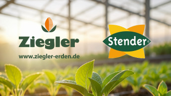 Gregor Ziegler übernimmt Exportgeschäft der Stender GmbH