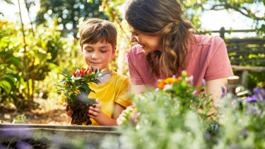 Emotionale Produktpräsentation überzeugt