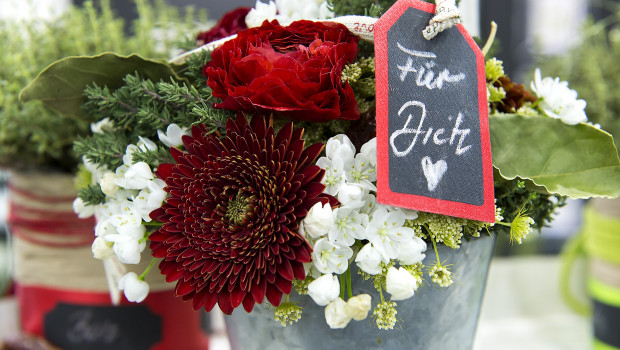 Die Importe von Blumen und Pflanzen in die EU wachsen kontinuierlich. Wesentlicher Treiber ist das Segment Schnittblumen.