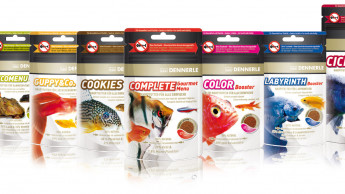 Dennerle Futter – Ein Quantensprung bei der Fischernährung Dennerle Futter – Ein Quantensprung bei der Fischernährung