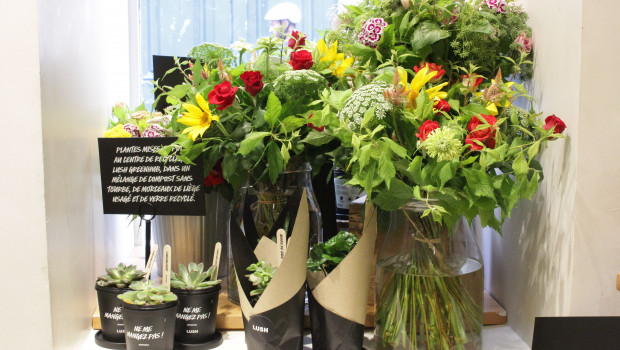 Das Sortiment des neuen Pop-up-Stores von Lush umfasst Schnittblumen und Topfpflanzen.
