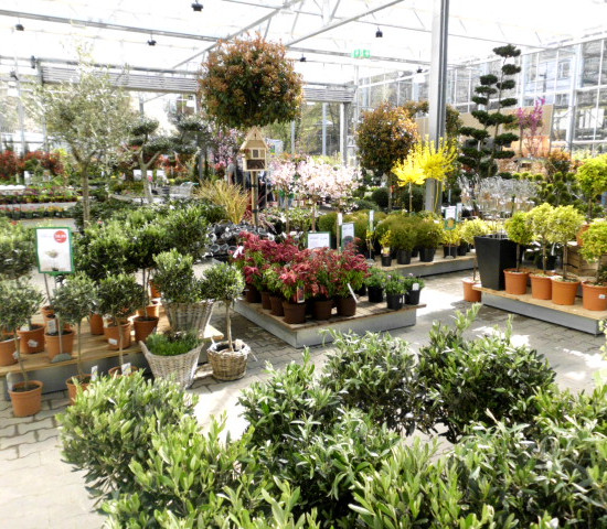 Die Baumschule bei Pflanzen Breuer in Hennef hat ein modernes Cabriodach bekommen.