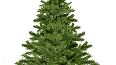 Verband Natürlicher Weihnachtsbaum e. V. wurde gegründet