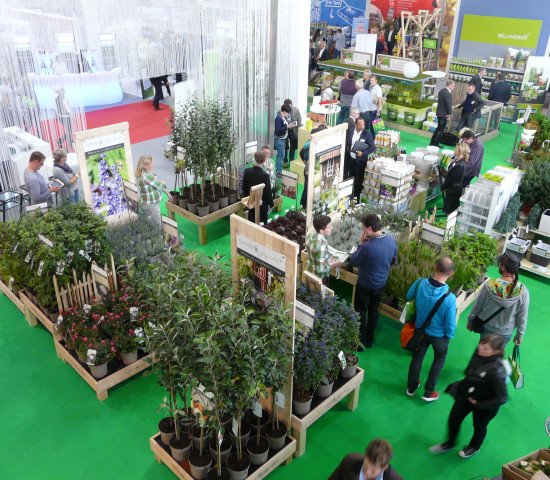 Die veranstaltenden Fachhandelskooperationen – hier der Stand der Sagaflor – informieren ihre Mitglieder in Kassel über neue Leistungen und Konzepte der Zentralen.