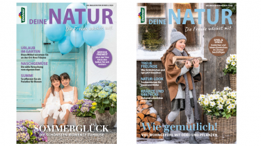 Dehner-Kundenmagazin kommt künftig aus Hamburg