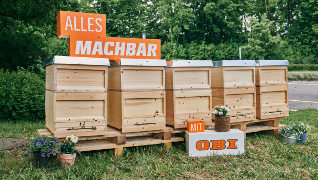 Fünf Bienenstöcke werden auf dem Gelände der Obi-Zentrale platziert.