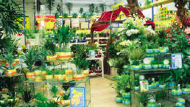 Die Baumärkte entdecken Berlins Mitte