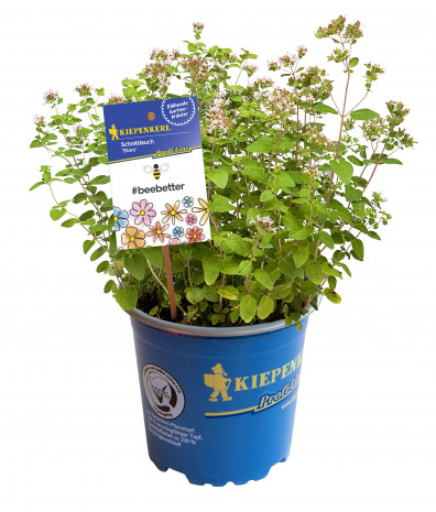 Bruno Nebelung, Kiepenkerl, #beebetter-Kräuter